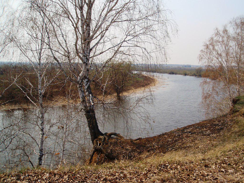 Река Оша недалеко от устья.