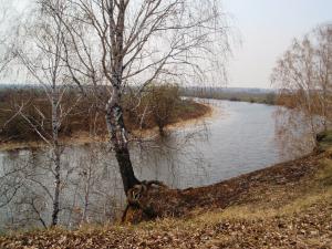 Река Оша недалеко от устья.