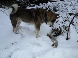 DSC09995
