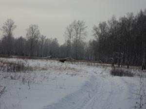 DSC00289.JPG