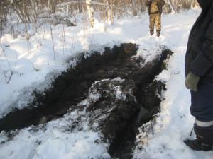 Муромцево ноябрь 2010г
