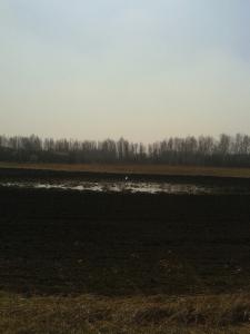 20140503_132803_resized