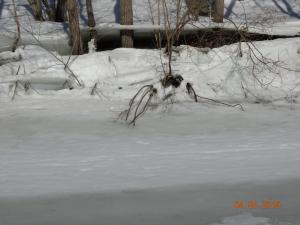 апрель 2015_1