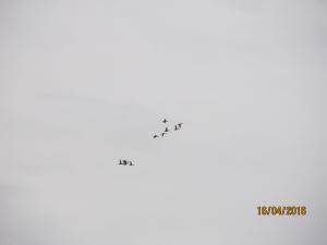 IMG_1315