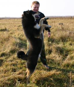 всл Шаман и Дерюга П.П.