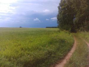 sergey_p
