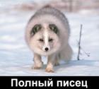 Аватара пользователя