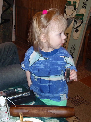 p2280162a.jpg