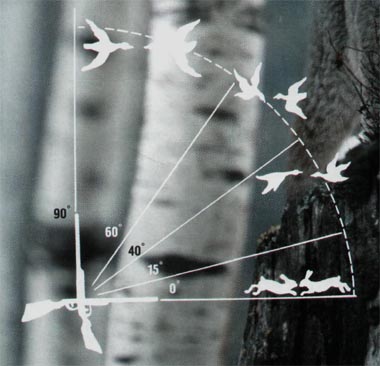 2443186.jpg