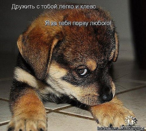С Днем рождения 2.jpg