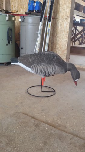 20150314_145125.jpg