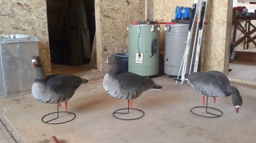 20150314_145523.jpg
