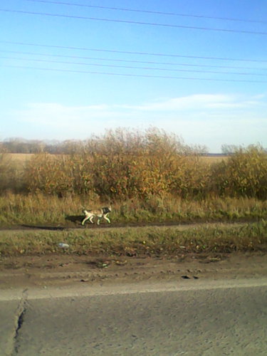 IMG_20151007_154713.jpg