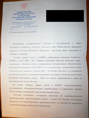 5449948.jpg
