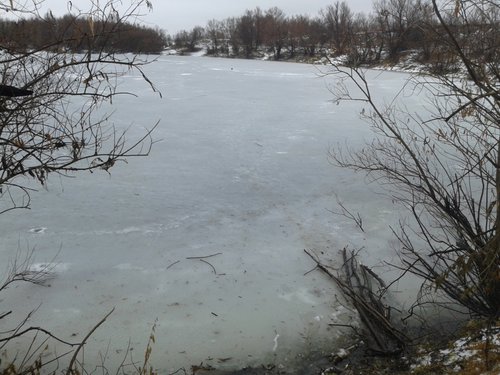 20151107_135838.jpg