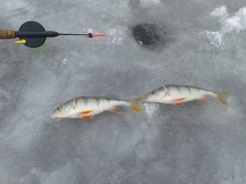 20151107_122604.jpg