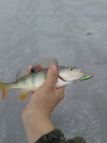 20151107_112906.jpg