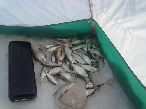06012012250.jpg