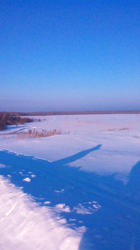 IMG_20160123_105426.jpg