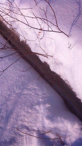 IMG_20160123_114426.jpg