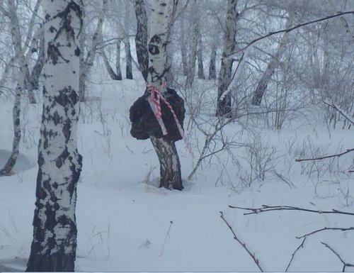 мой_кореш.jpg