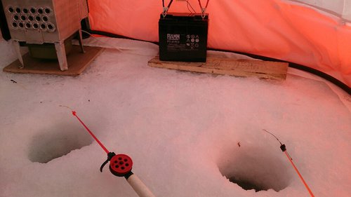 _20160305_100546.JPG