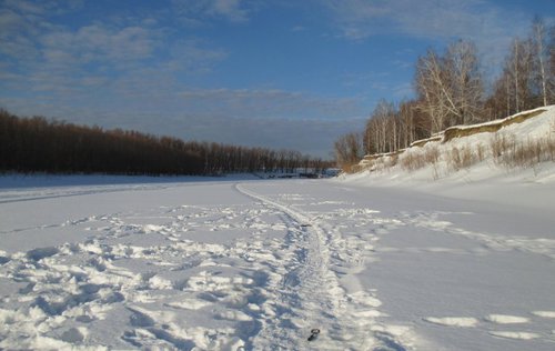 IMG_0509.jpg
