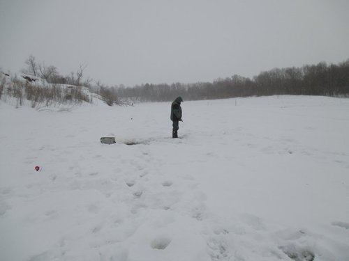 IMG_0511.jpg