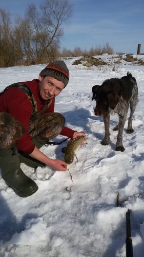 20160312_155441_500x889.jpg