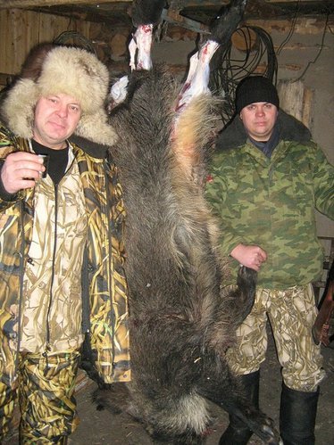 Изображение 020.jpg