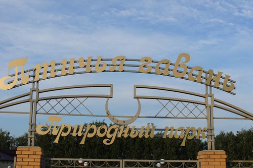 DSC00220.JPG