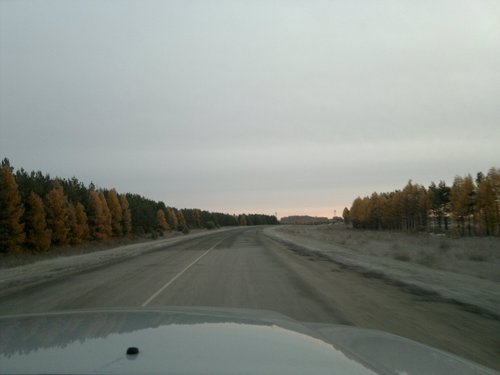 краски осени.jpg