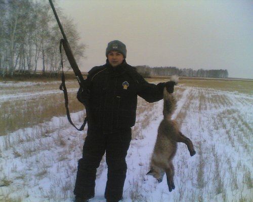 моя первая лиса.jpg