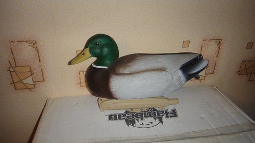 5.JPG