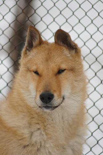 DSC01792.JPG