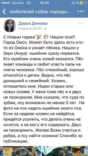 IMG_4641.PNG