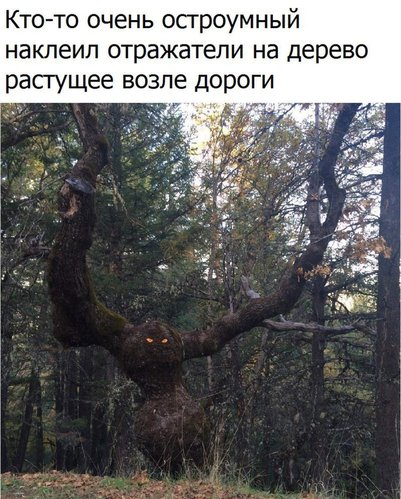 леший.jpg