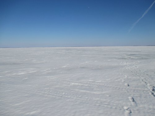 IMG_1137.JPG