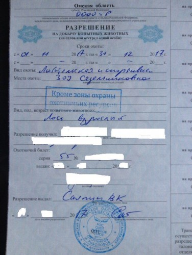 Лось.jpg