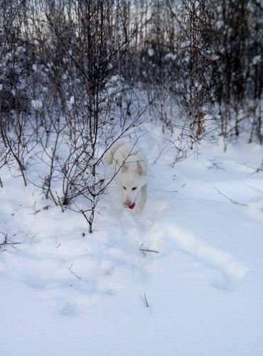 IMG-5a761b78d0ec5ea2f1ac598ae3c00d6d-V.jpg