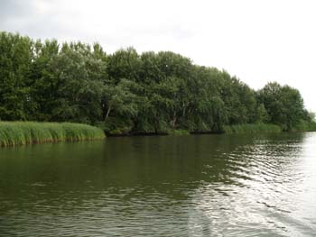 IMG_1671.jpg