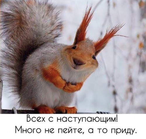 много не пейте.JPG