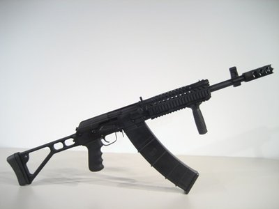 saiga2.jpg