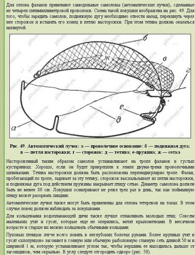 _var_www_storage1_temp_12_95_20_GpiqHmIb5LLlkXY5L.jpg