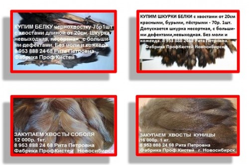 5 МЕТОДИЧКА.jpg