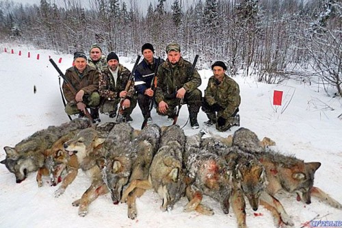 00-Волки01.jpg
