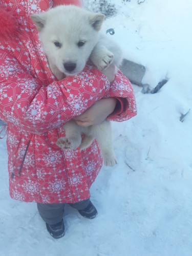 IMG-20190126-WA0092.jpg