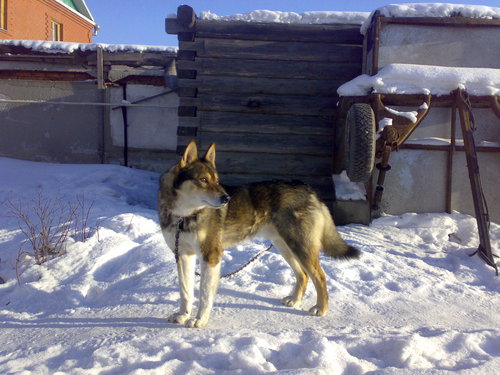 230220122367.jpg