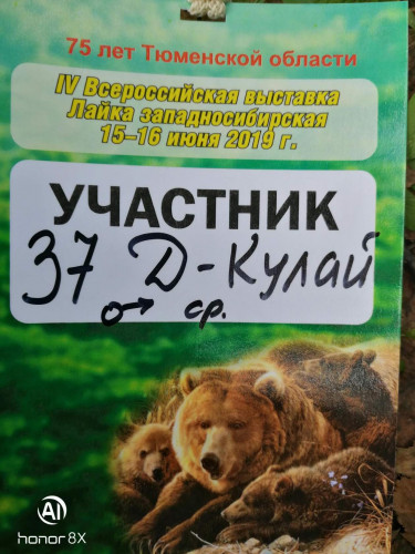 IMG_20190615_091804.jpg