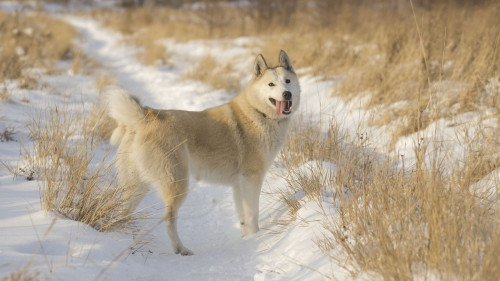 DSC06775.JPG